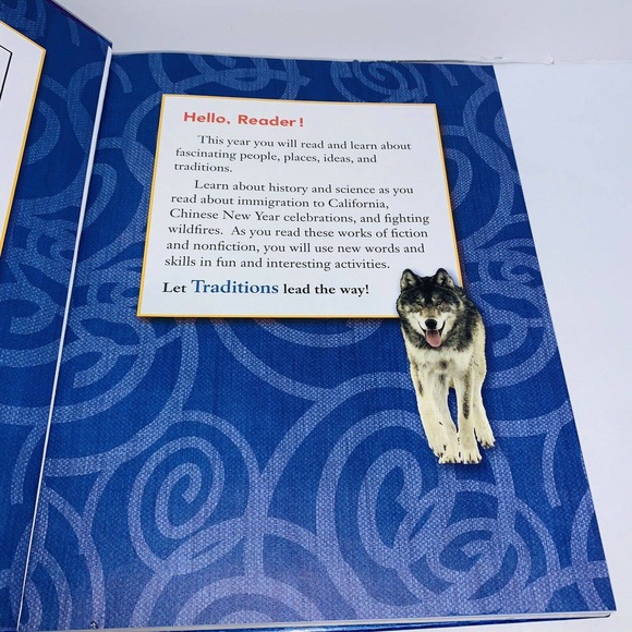 HOUGHTON MIFFLIN READING: STUDENT EDITION GRADE 4 - Hardcover Homeschool Read - Picture 7 of 8